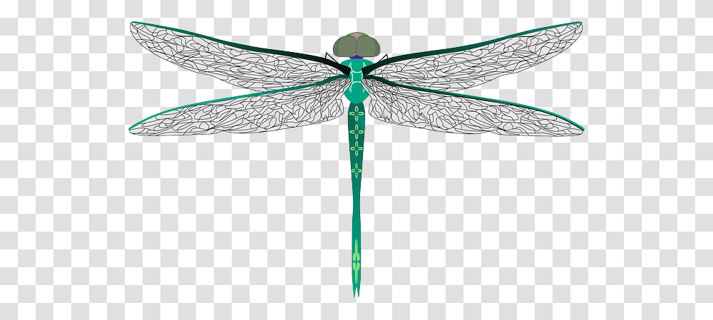 Dragonfly, Insect, Invertebrate, Animal, Anisoptera Transparent Png