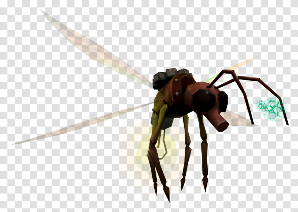Dragonfly, Invertebrate, Animal, Insect, Wasp Transparent Png