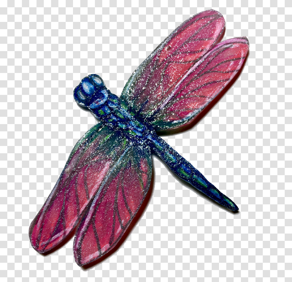 Dragonfly No Background Dragonfly Transparent Png