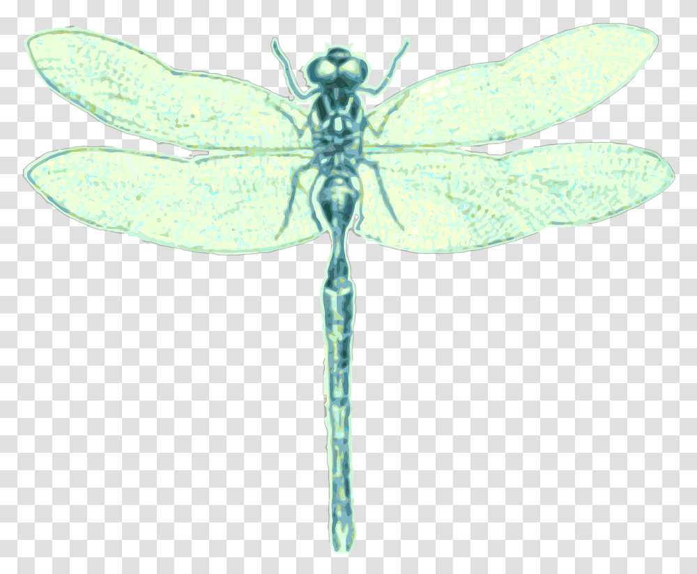 Dragonfly Order Odonata Insect Free Image On Pixabay Dragonfly, Invertebrate, Animal, Anisoptera, Ceiling Fan Transparent Png