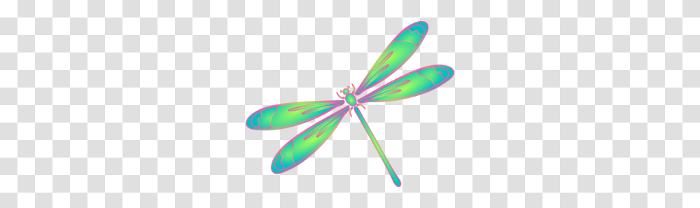 Dragonfly Outline Clipart, Insect, Invertebrate, Animal, Anisoptera Transparent Png