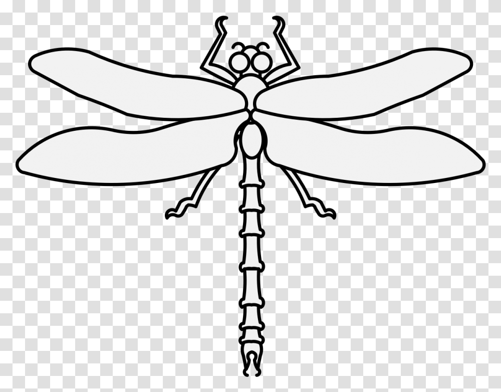 Dragonfly Pdf, Insect, Invertebrate, Animal, Anisoptera Transparent Png
