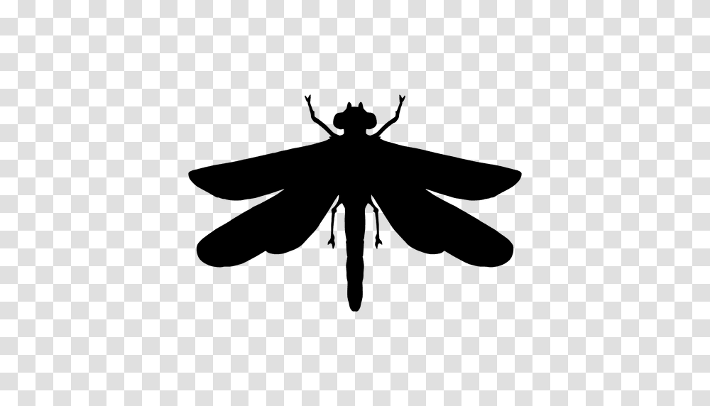 Dragonfly Silhouette, Insect, Invertebrate, Animal, Butterfly Transparent Png