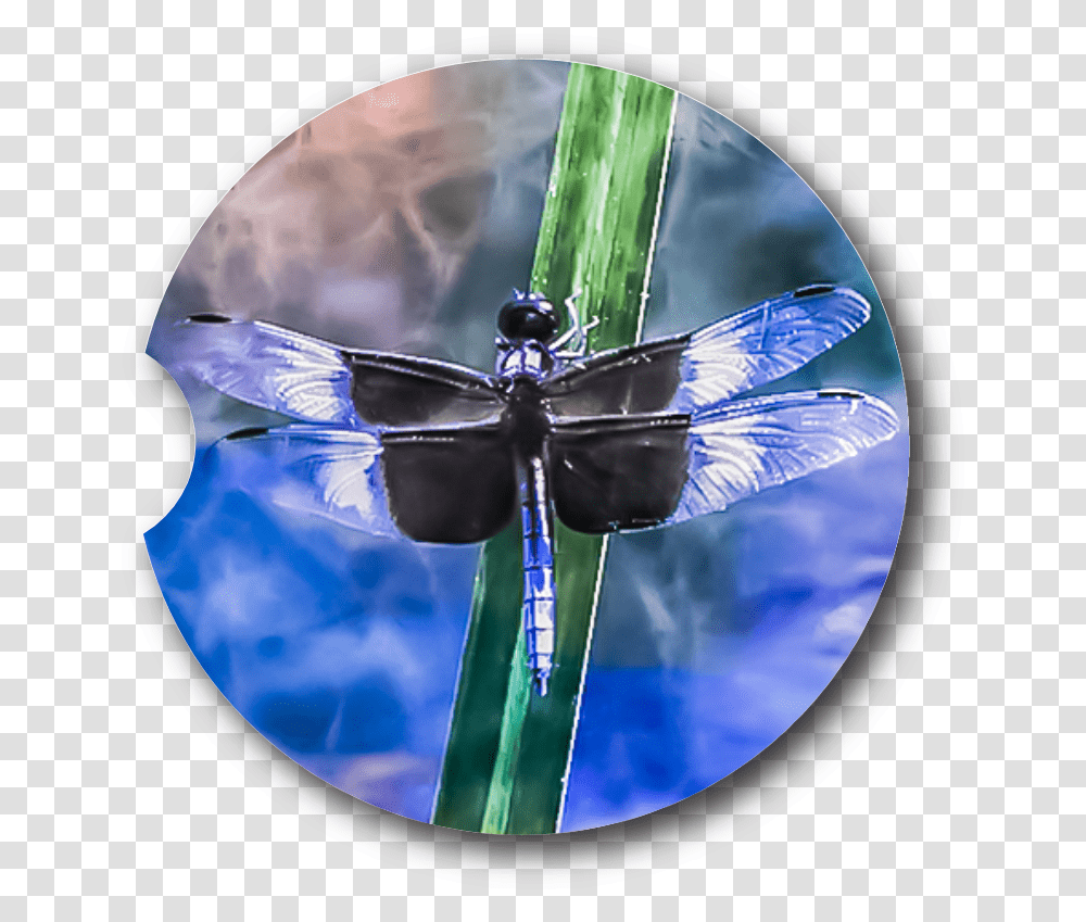 Dragonfly Sky Sandstone Car Coaster Dragonfly, Insect, Invertebrate, Animal, Anisoptera Transparent Png