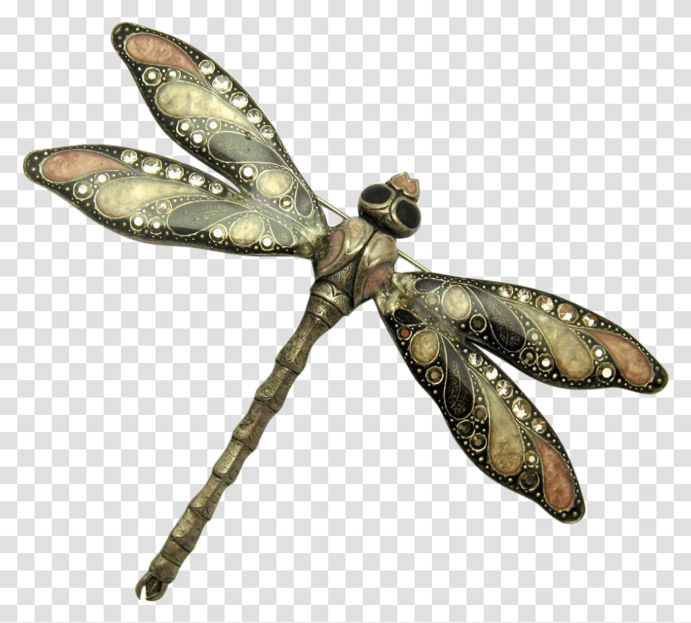 Dragonfly Vintage France Dragonfly, Insect, Invertebrate, Animal, Anisoptera Transparent Png