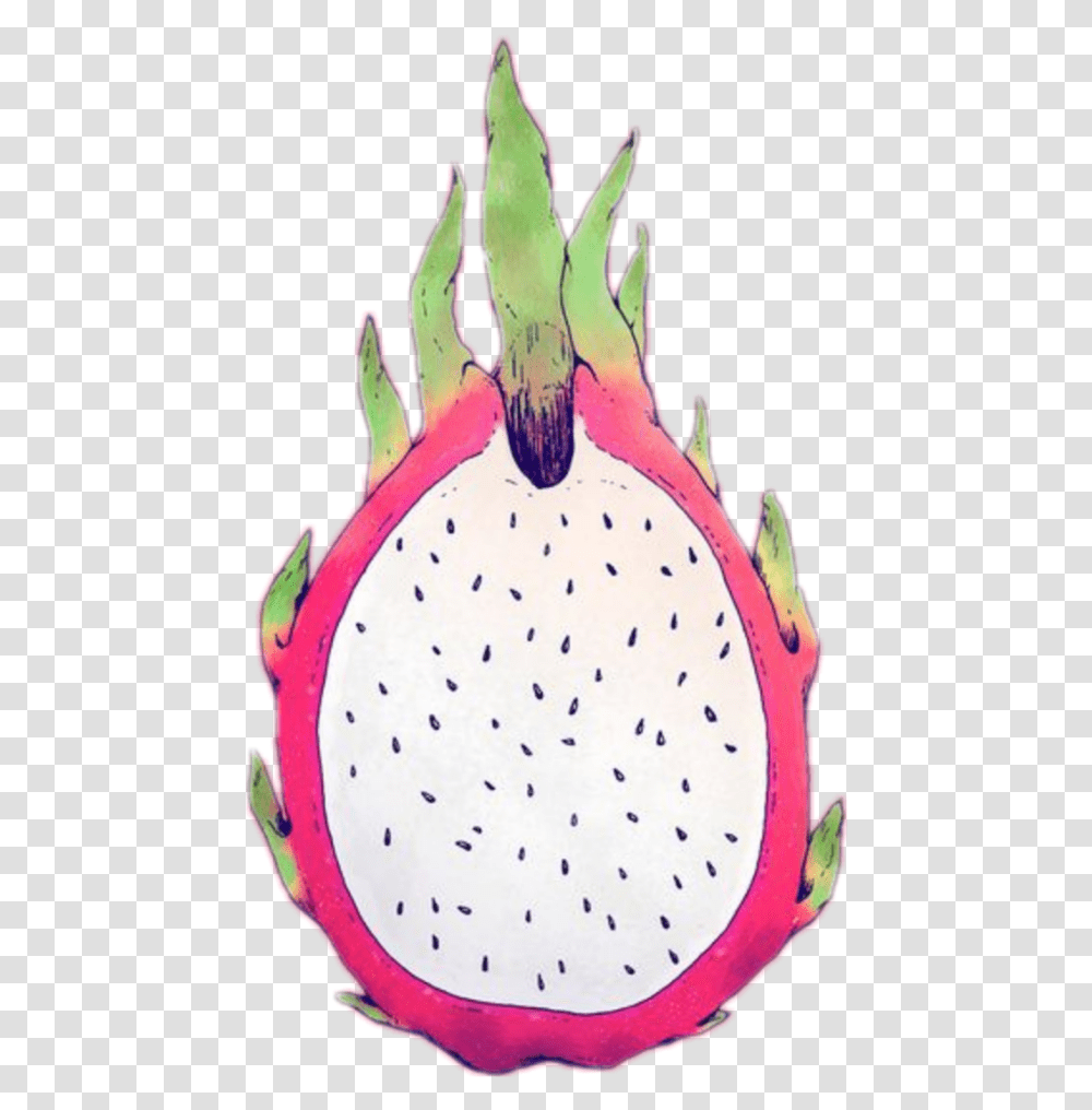 Dragonfruit Fruit Summer Pink Green White Fresh Dragonfruit, Plant, Food, Flower, Produce Transparent Png