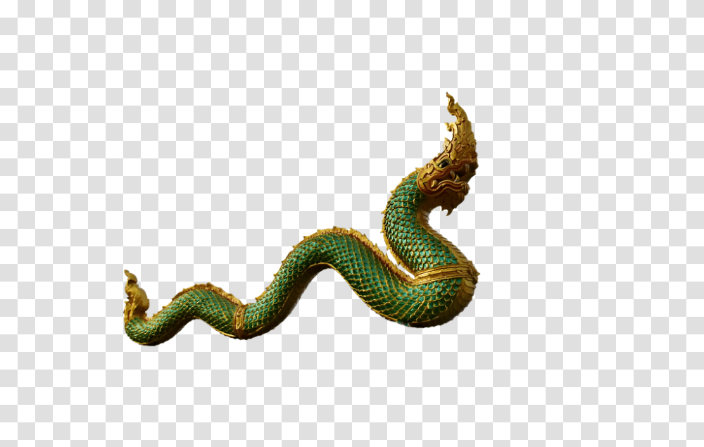 Dragons 960, Animals, Snake, Reptile, Lizard Transparent Png