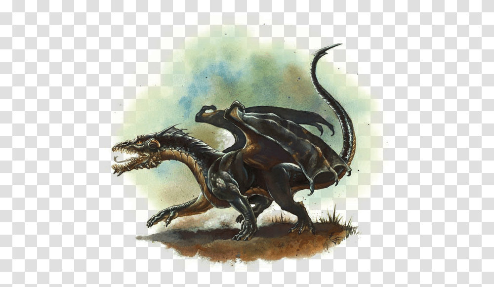 Dragons Dampd 5e Black Dragon Wyrmling, Dinosaur, Reptile, Animal Transparent Png