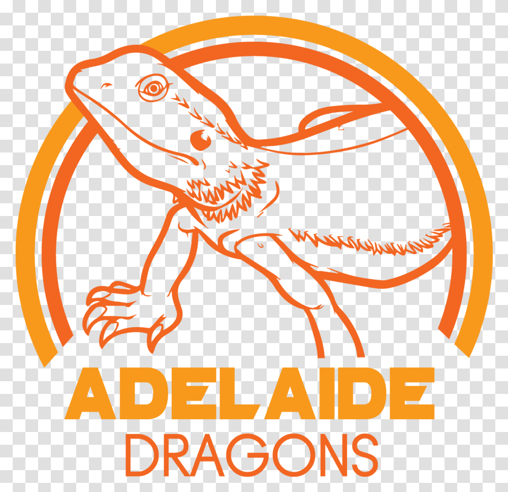 Draw A Bearded Dragon Lizard Colouring, Animal, Poster, Advertisement, Amphibian Transparent Png