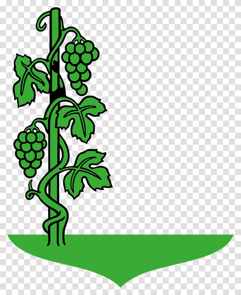 Draw A Grape Tree, Green, Plant Transparent Png