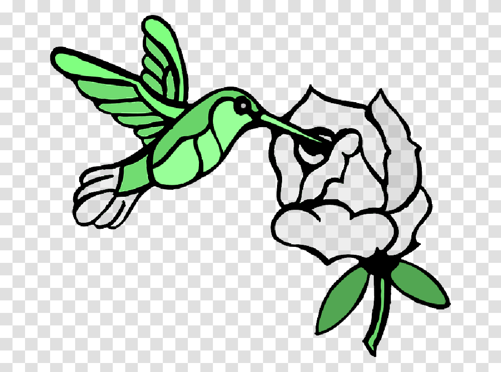 Draw A Hummingbird Download Draw Hummingbirds And Flower, Animal, Beak Transparent Png