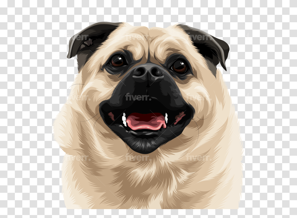 Draw High Quality Vector For Your Pet Or Any Animals Happy, Dog, Canine, Mammal, Pug Transparent Png