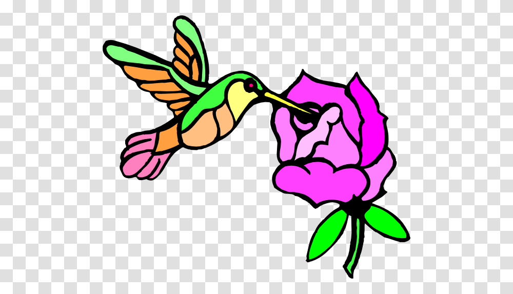 Draw Hummingbirds And Flower, Animal, Plant Transparent Png