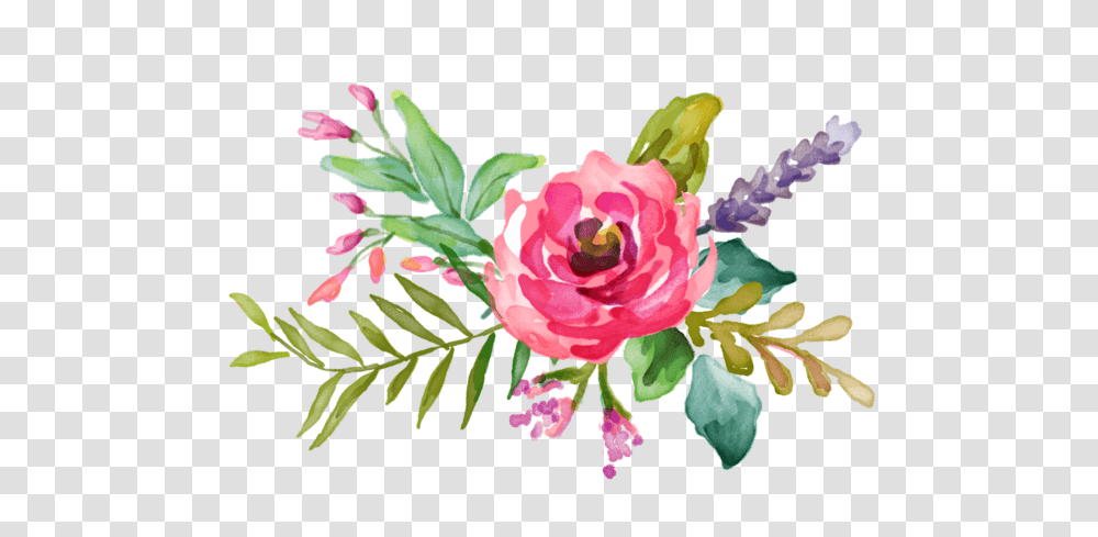 Draw N Paint, Plant, Flower, Rose, Floral Design Transparent Png
