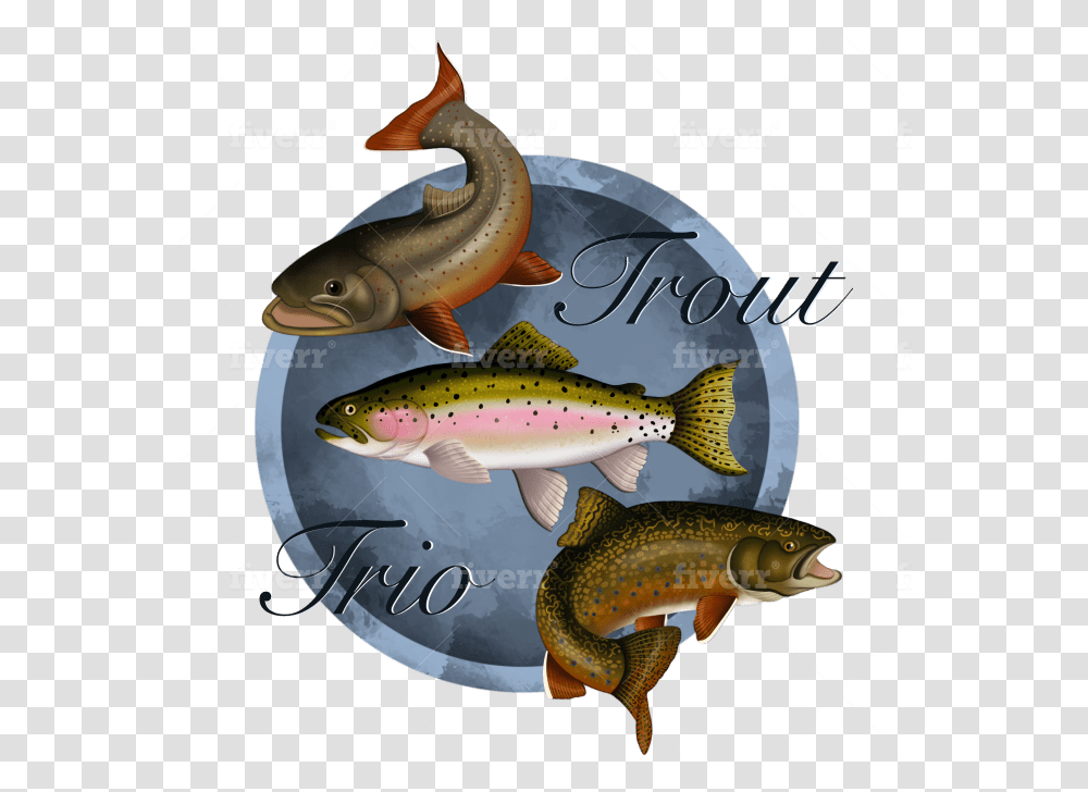 Draw You A Fish Logo Design By Nafeysart Coastal Cutthroat Trout, Animal, Carp, Perch, Coho Transparent Png