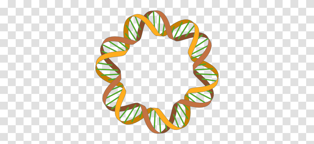 Drawing A Double Helix In Inkscape, Plant, Wreath Transparent Png