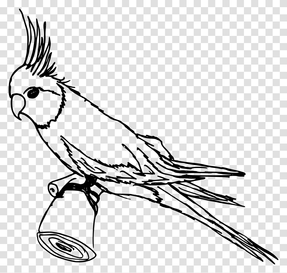 Drawing Alphabets Parrot Parrot Clipart Black And White, Gray, World Of Warcraft Transparent Png
