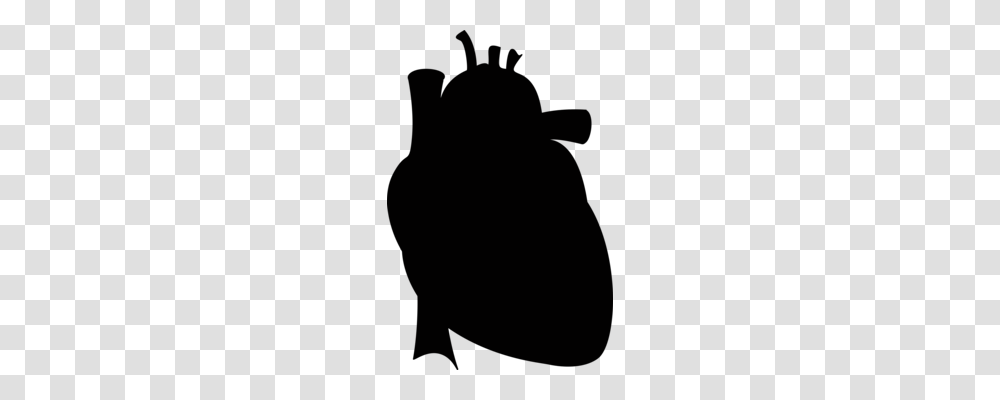 Drawing Anatomy Heart Diagram Organ, Outdoors, Nature, Gray, Astronomy Transparent Png