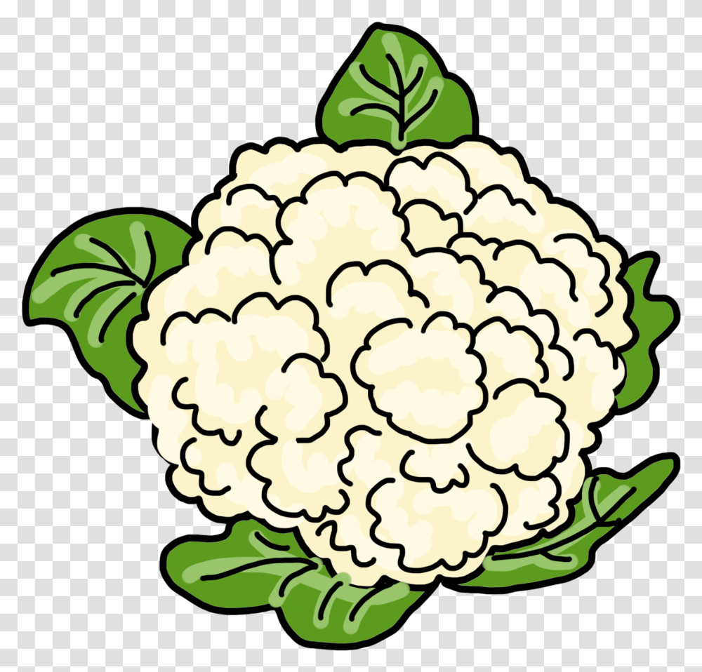 Drawing Animated Cauliflower Drawing, Vegetable, Plant, Food, Fungus Transparent Png