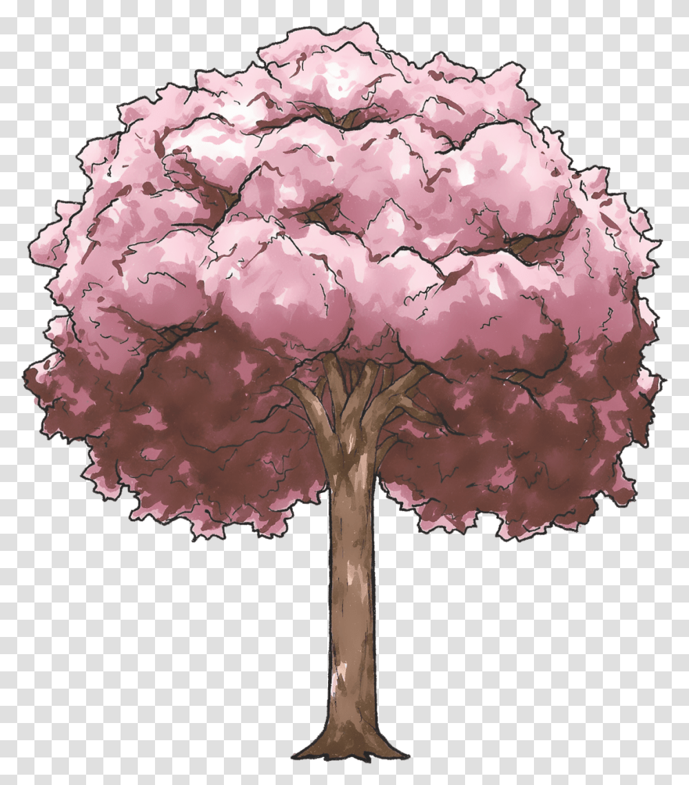 Drawing Anime Cherry Blossom Tree, Plant, Bush, Vegetation, Fungus Transparent Png