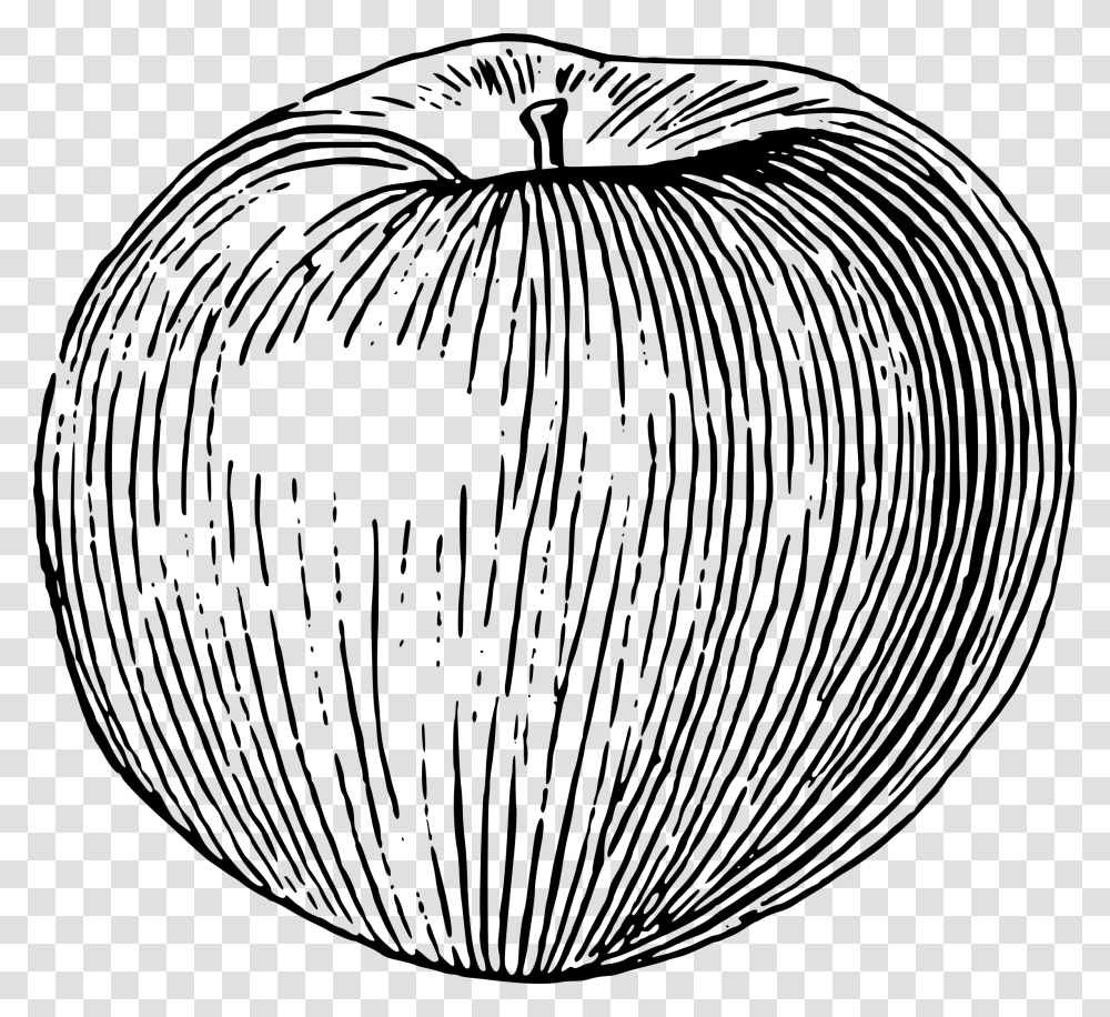 Drawing Apple Big Apple Line Drawing, Gray, World Of Warcraft Transparent Png