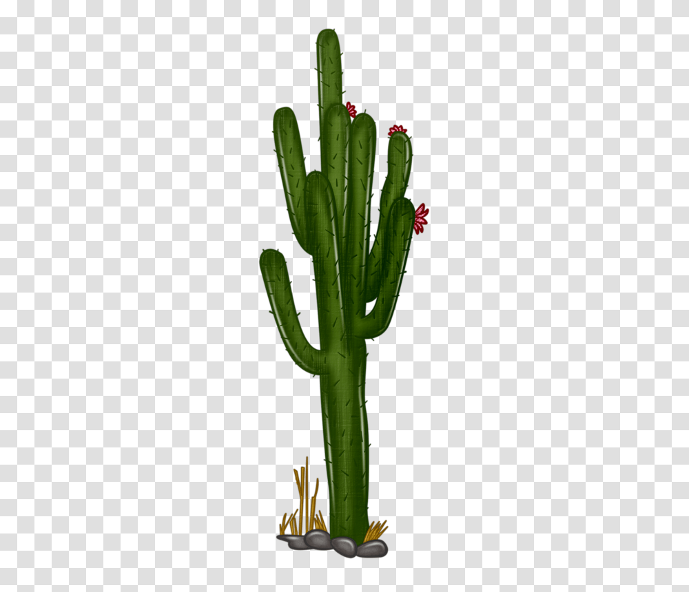 Drawing Art Clip Art, Plant, Cactus Transparent Png