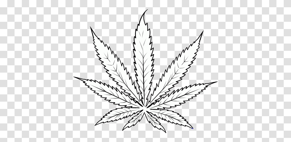 Drawing Art Drugs Weed Smoke Pot Illegal Oh Well Weed Plant Drawing, Bird, Animal, Leaf, Sketch Transparent Png