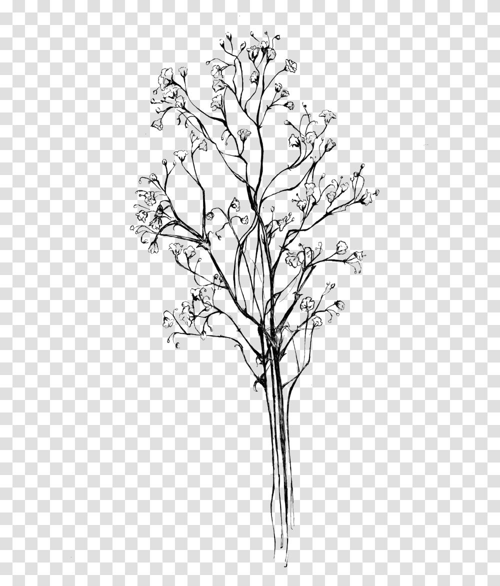 Drawing Baby's Breath Download Baby Breath Flower, Cross, Snowflake, Plant Transparent Png