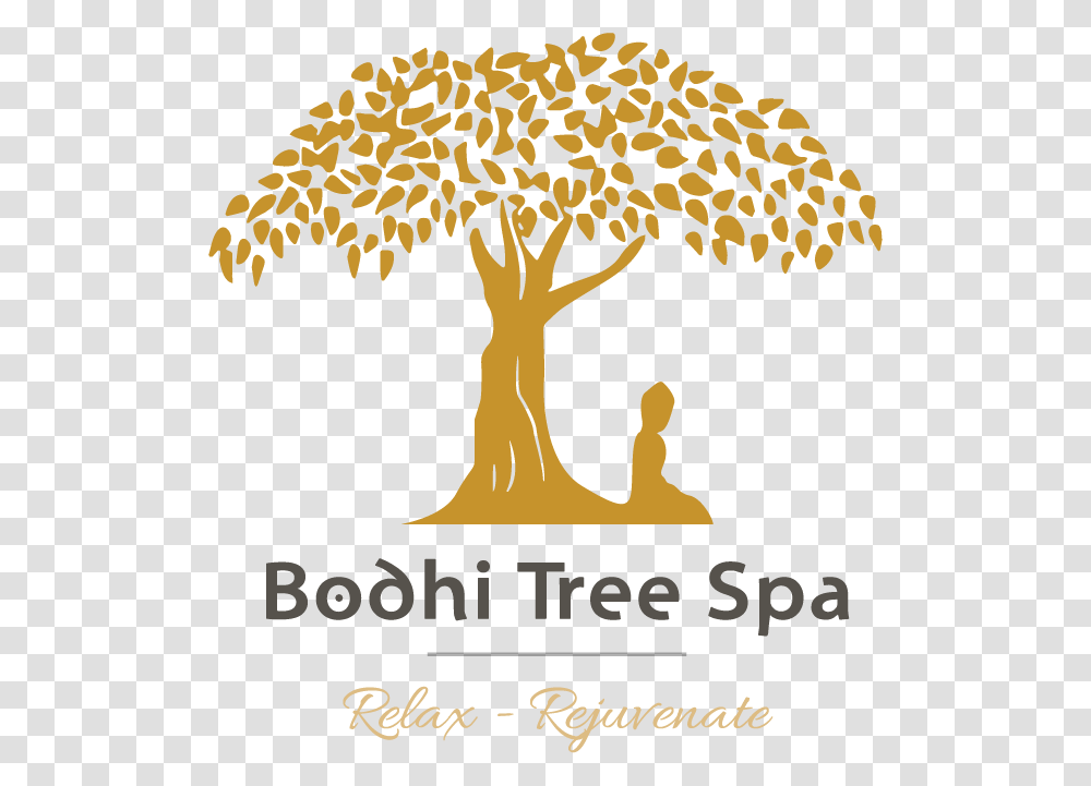 Drawing Buddha Tree Bodhi Tree Drawing Easy, Plant, Tree Trunk, Root Transparent Png