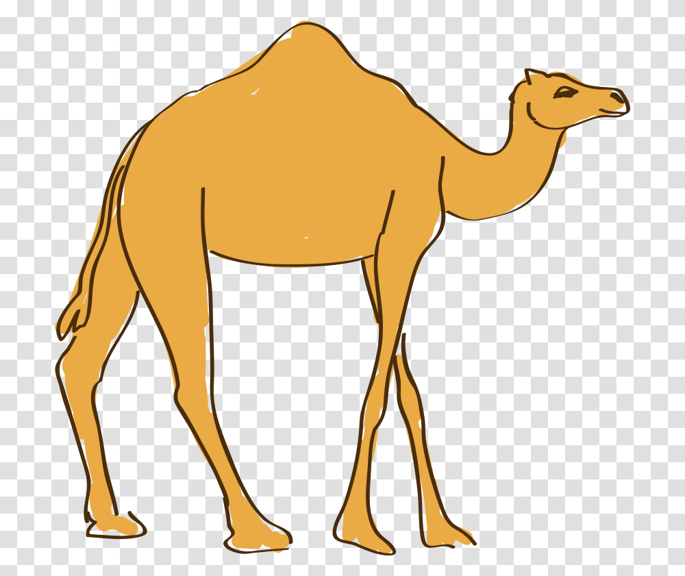 Drawing Camels Cartoon Drawing, Mammal, Animal, Horse Transparent Png