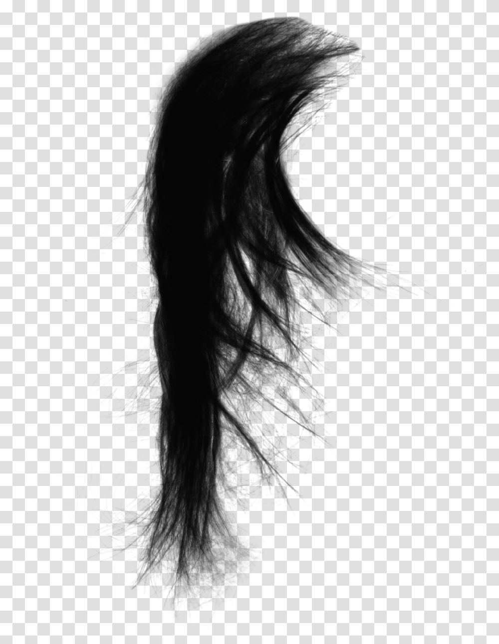 Drawing Capelli Black Hair, Gray, World Of Warcraft Transparent Png