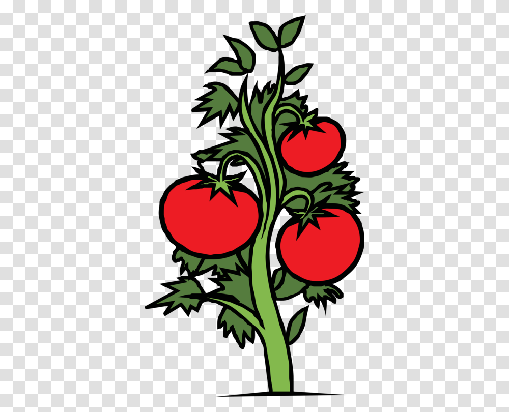 Drawing Cherry Tomato Plant Leaf, Vegetable, Food, Produce Transparent Png