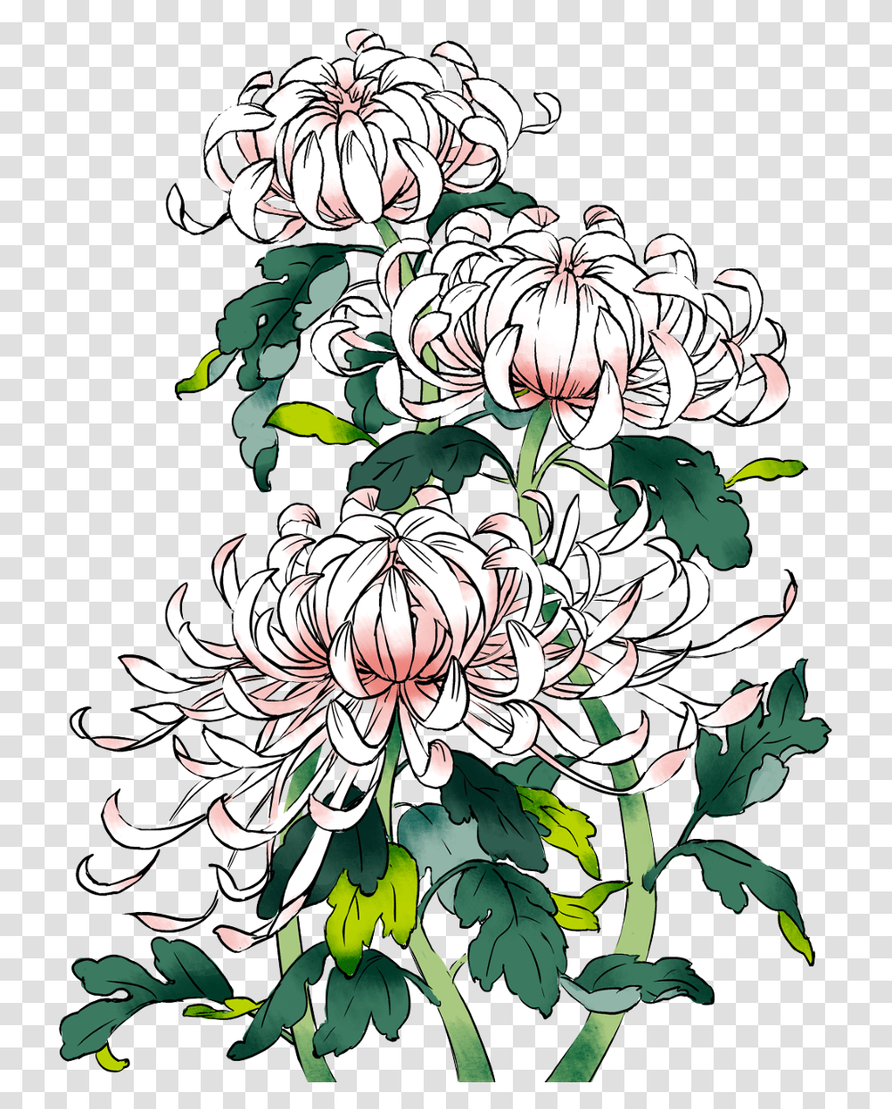 Drawing Chinese Flower, Floral Design, Pattern Transparent Png