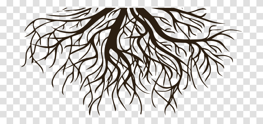 Drawing Clip Art Root Vector Graphics Tree Tree Of Life For Breastfeeding, Plant, Zebra, Wildlife, Mammal Transparent Png