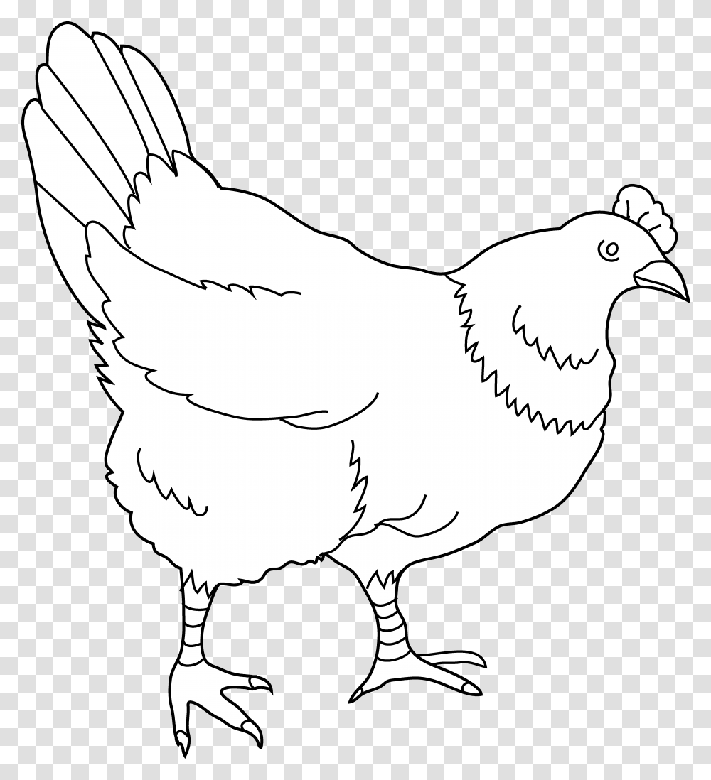 Drawing Clipart Hen 8 Hens Black And White Clipart, Animal, Bird, Chicken, Poultry Transparent Png
