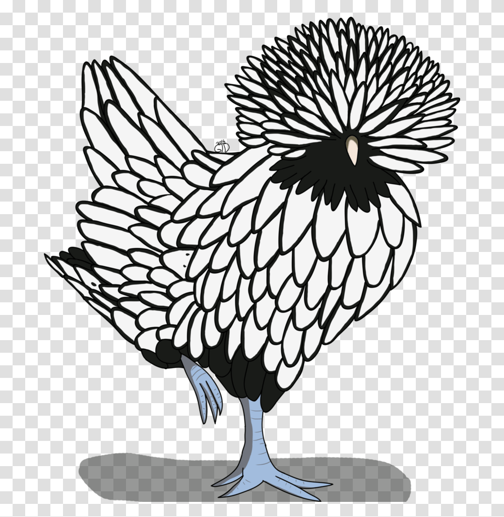 Drawing Clipart Hen Polish Chicken Drawing, Bird, Animal, Vulture Transparent Png