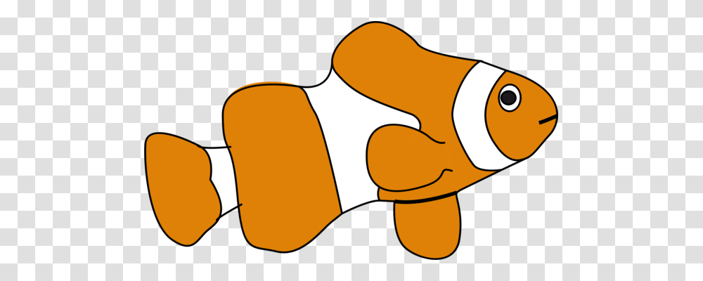 Drawing Clownfish Istock, Food, Cushion, Hand, Plant Transparent Png