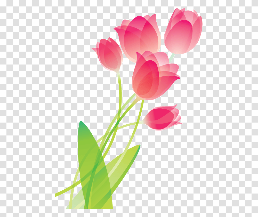 Drawing Coffee Tulip Drawing Of Flowers Tulip, Plant, Blossom, Rose, Flower Arrangement Transparent Png