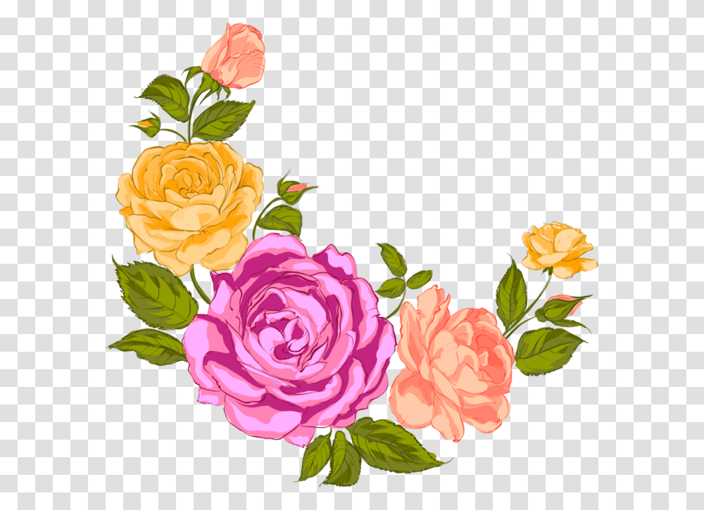Drawing Compositions Flower Vector Library Rose, Plant, Blossom, Peony, Carnation Transparent Png