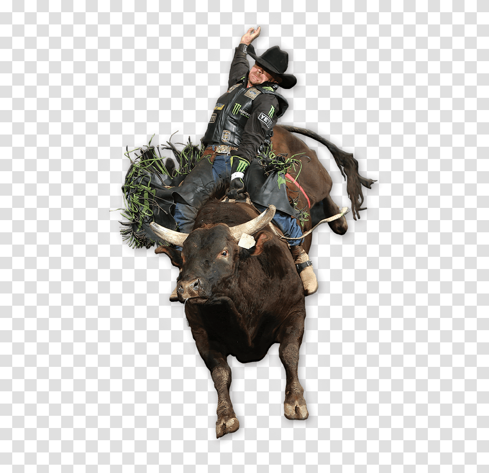 Drawing Cowboys Bull Riding Bull Riding, Mammal, Animal, Person, Cattle Transparent Png