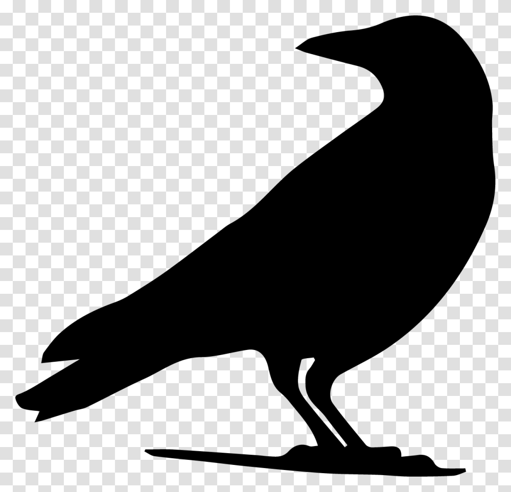 Drawing Crow Silhouette Clip Art Crow Silhouette, Bird, Animal, Blackbird, Agelaius Transparent Png