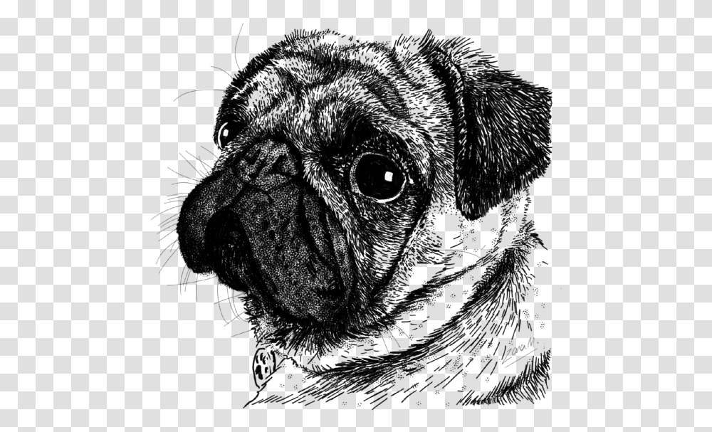 Drawing Download Pug, Silhouette Transparent Png