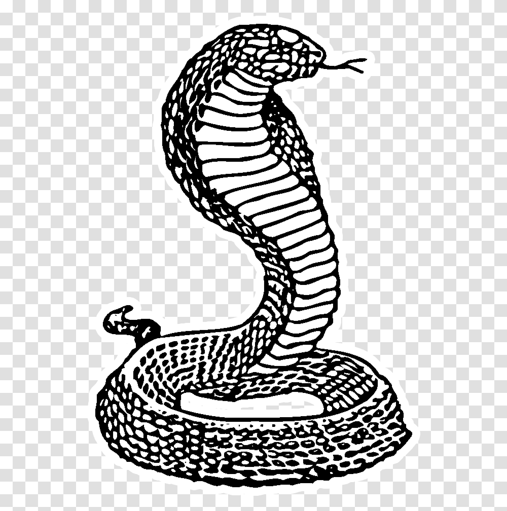 Drawing Download Serpent, Cobra, Snake, Reptile, Animal Transparent Png