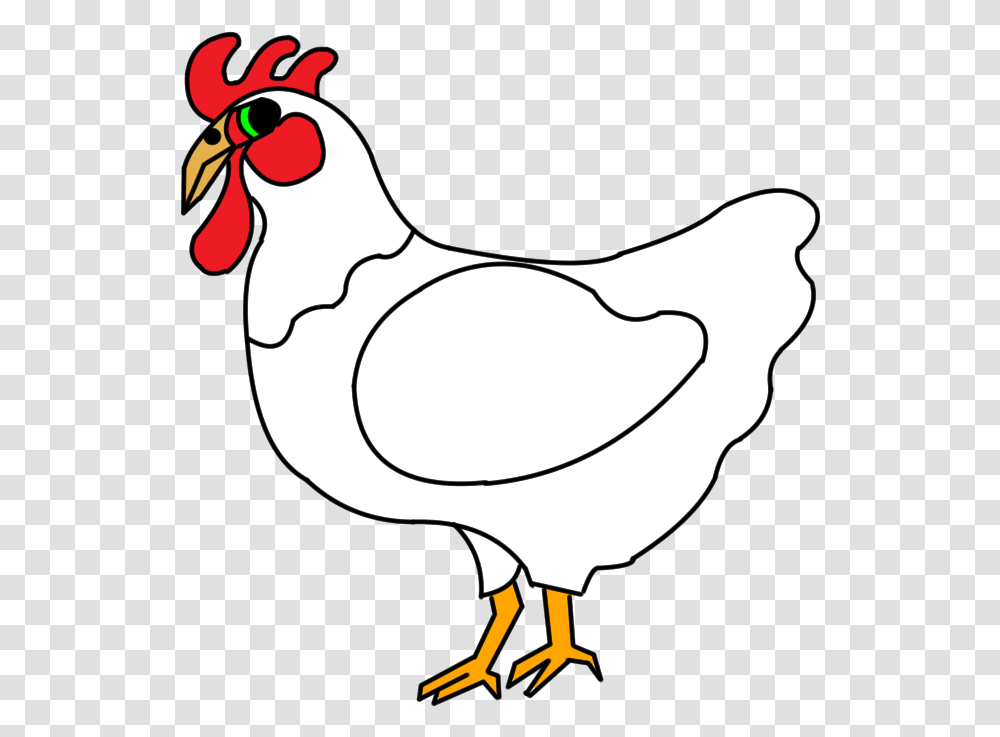 Drawing Feather Chicken Cmo Dibujar Una Gallina, Poultry, Fowl, Bird, Animal Transparent Png