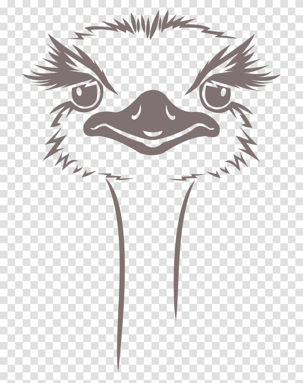 Drawing Feather Ostrich Ostrich Design, Stencil, Beak, Bird, Animal Transparent Png