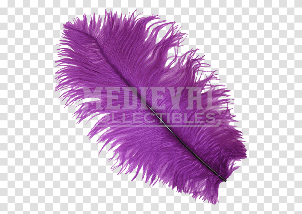 Drawing Feather Ostrich Purple Feather, Iris, Flower, Plant, Sea Life Transparent Png