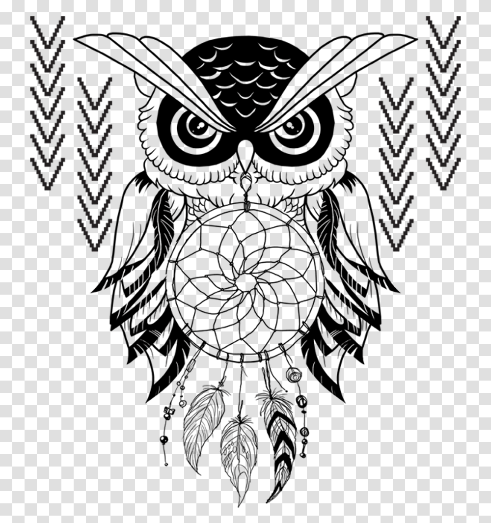 Drawing Feather Owl Clipart Free Download Dream Catchers Black And White, Tree, Plant, Outdoors, Flower Transparent Png