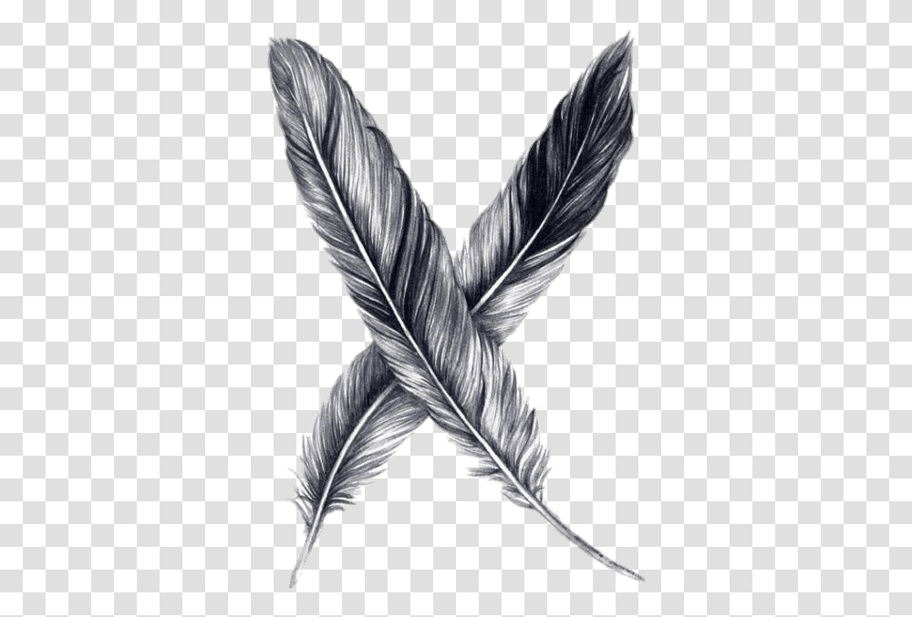 Drawing Feather Pencil Sketch Drawing Black And White Feather, Leaf, Plant, Person Transparent Png