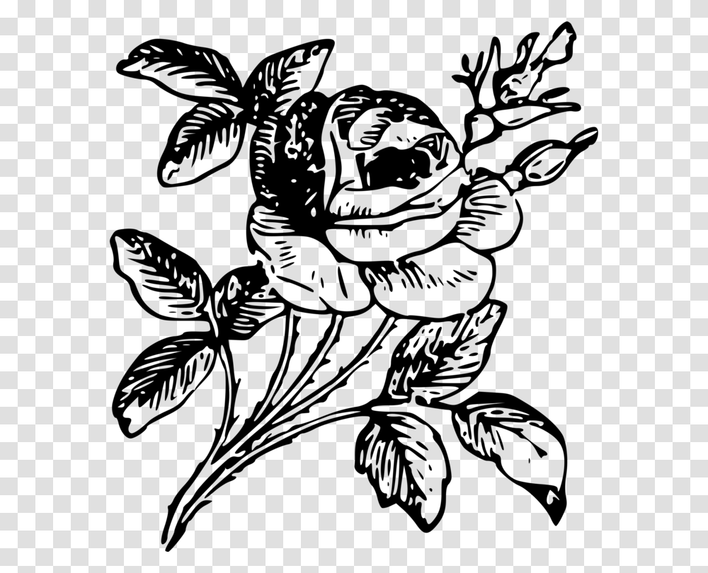 Drawing Floral Design Rose Flower Art, Gray, World Of Warcraft Transparent Png