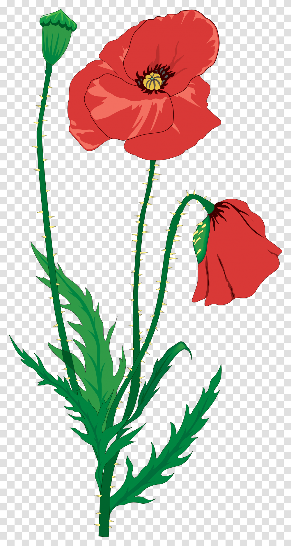 Drawing Flower Clip Art Memorial Day And Poppies Poppies Poem Ww1, Plant, Blossom, Geranium, Petal Transparent Png